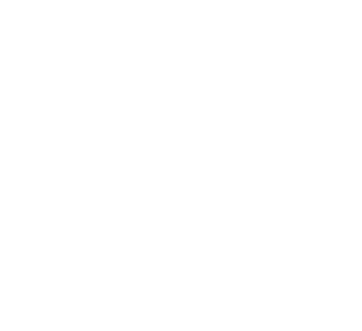 City Municipality of Stari Grad